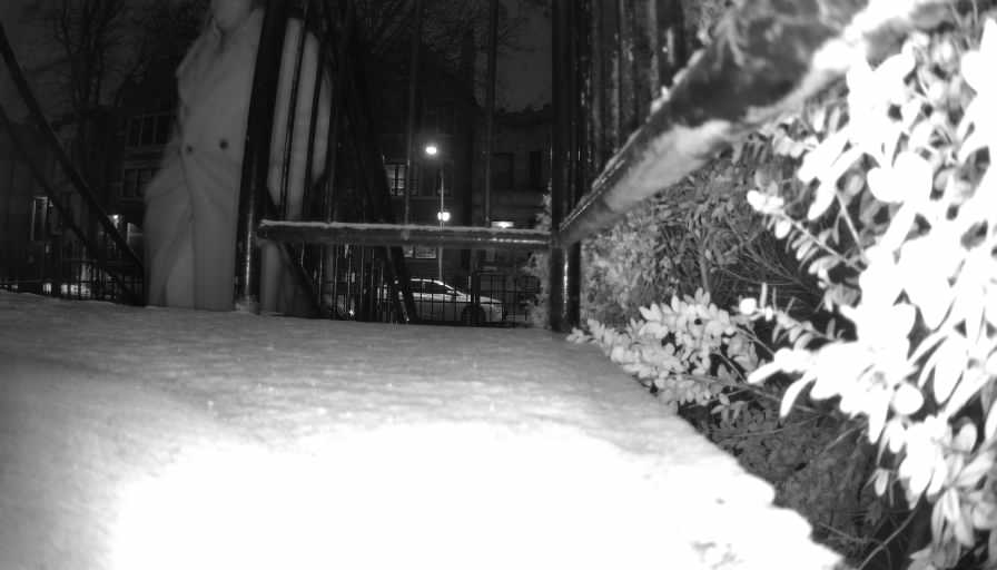 Reolink Camera Two_01_Reolink Home Hub One_20250208213523.jpg